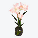 Farbe: Rosa