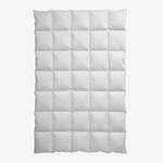 Produktbild fr 'Warme Kassettendecke mit fluffig leichter mit Alaska-Wildentendaune'