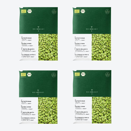 Produktbild fr '   Microgreens Saatpads Kresse: Frisch-scharfe Klassiker'