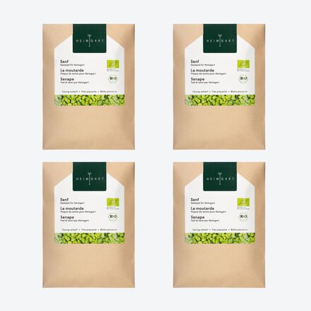 Produktbild f�r 'Bio-Microgreens Saatpads Senf, 4 St�ck'