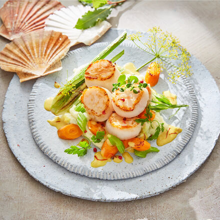 Produktbild fr 'Bretonische Jakobsmuscheln'