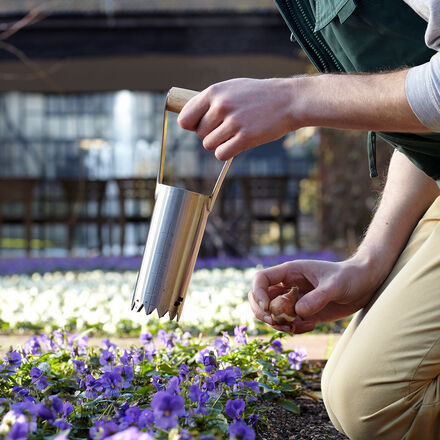 Produktbild fr 'Hochwertige Blumenzwiebel-Pflanzhilfe - von der britischen RHS empfohlen'