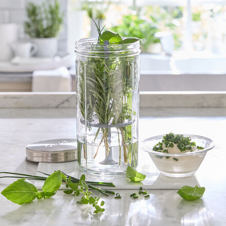 Produktbild f�r 'Kilner Kr�uterglas mit Deckel und Silikonstab'