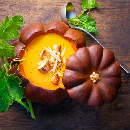 Produktbild fr 'Krbissuppe nach Paul Bocuse'