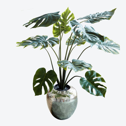 Produktbild fr 'Naturgetreue tropische Monstera fr Ihre Innenrume'