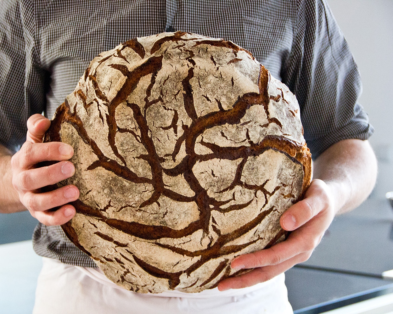 Brot backen Tipps & Tricks So geht´s ganz einfach