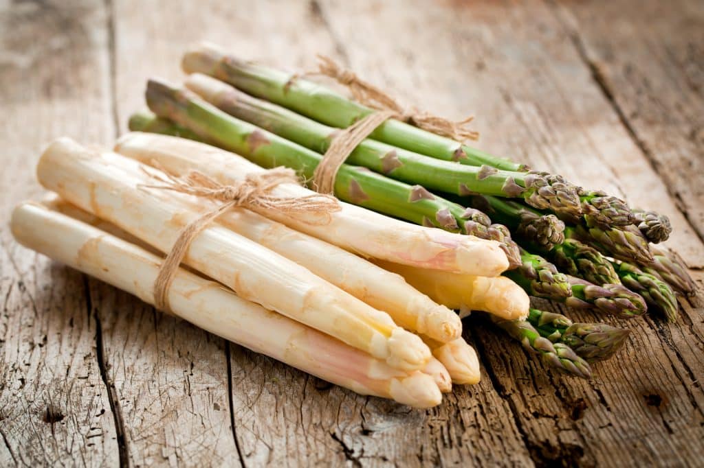 Wissenswertes über das GenießerGemüse Spargel GenussMAGAZIN by Hagen