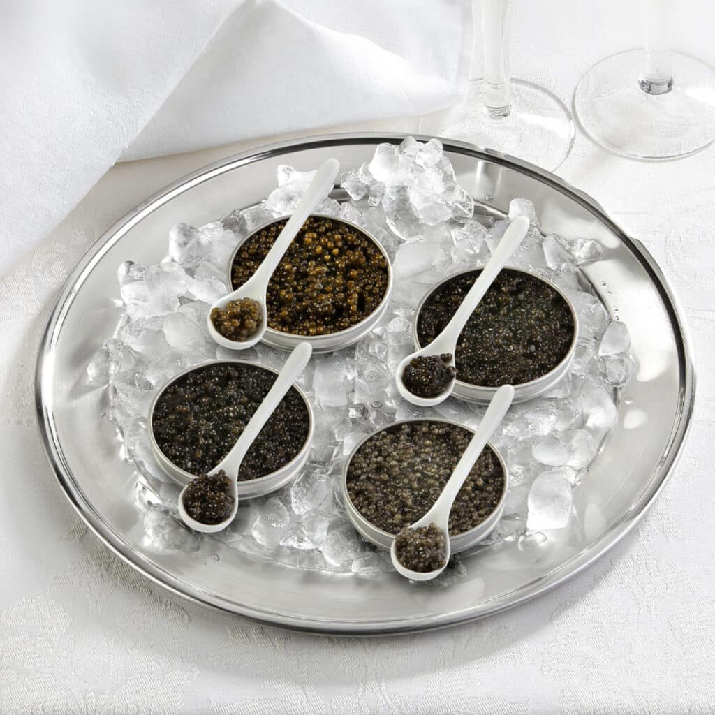 Auswahl an Kaviar-Dosen auf Crushed Ice mit Löffeln, serviert auf silberner Platte