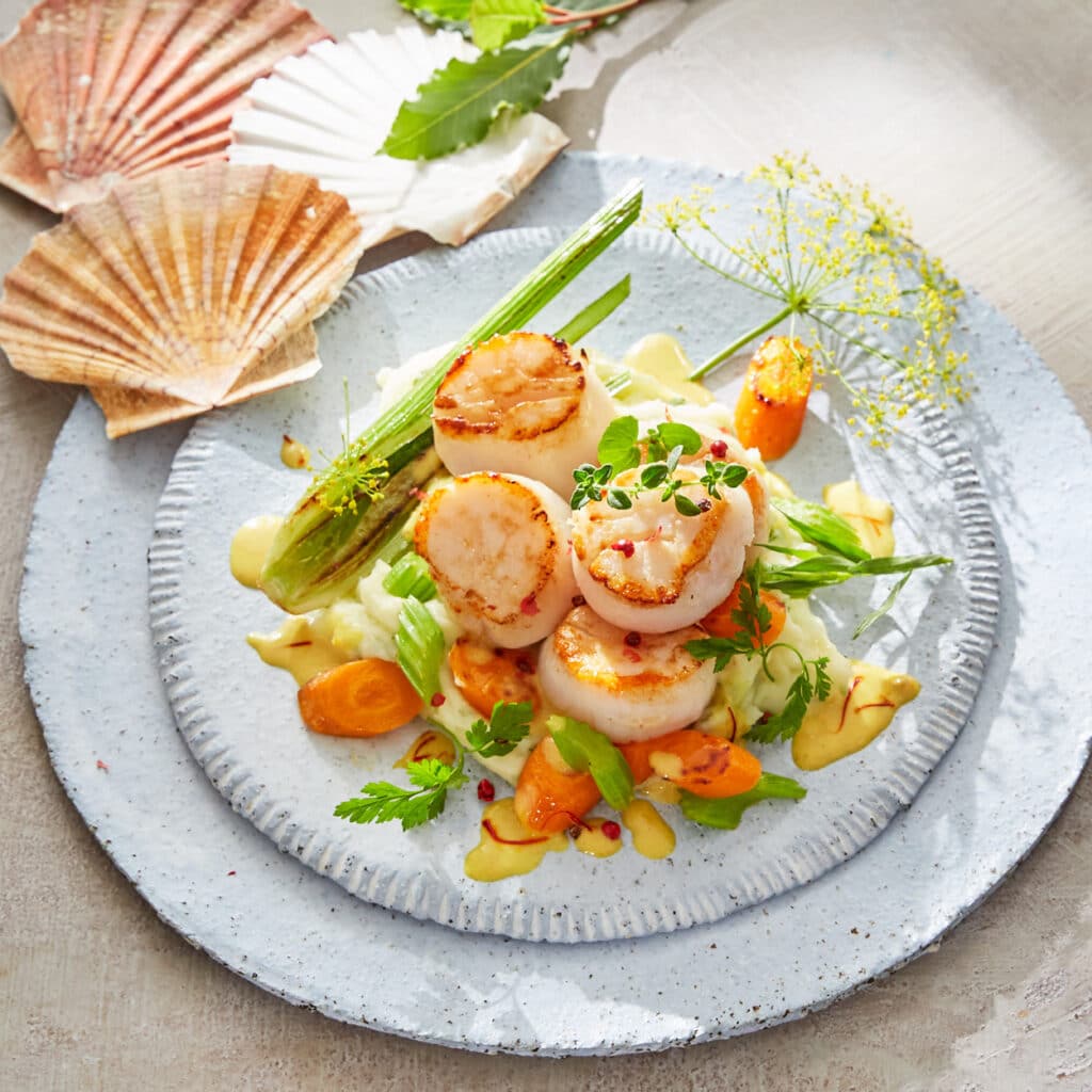 Gebratene Jakobsmuscheln mit Gemüse und Kräutern, angerichtet auf cremigem Püree, verfeinert mit Safransauce
